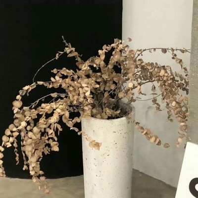 罗城福瑞交流群